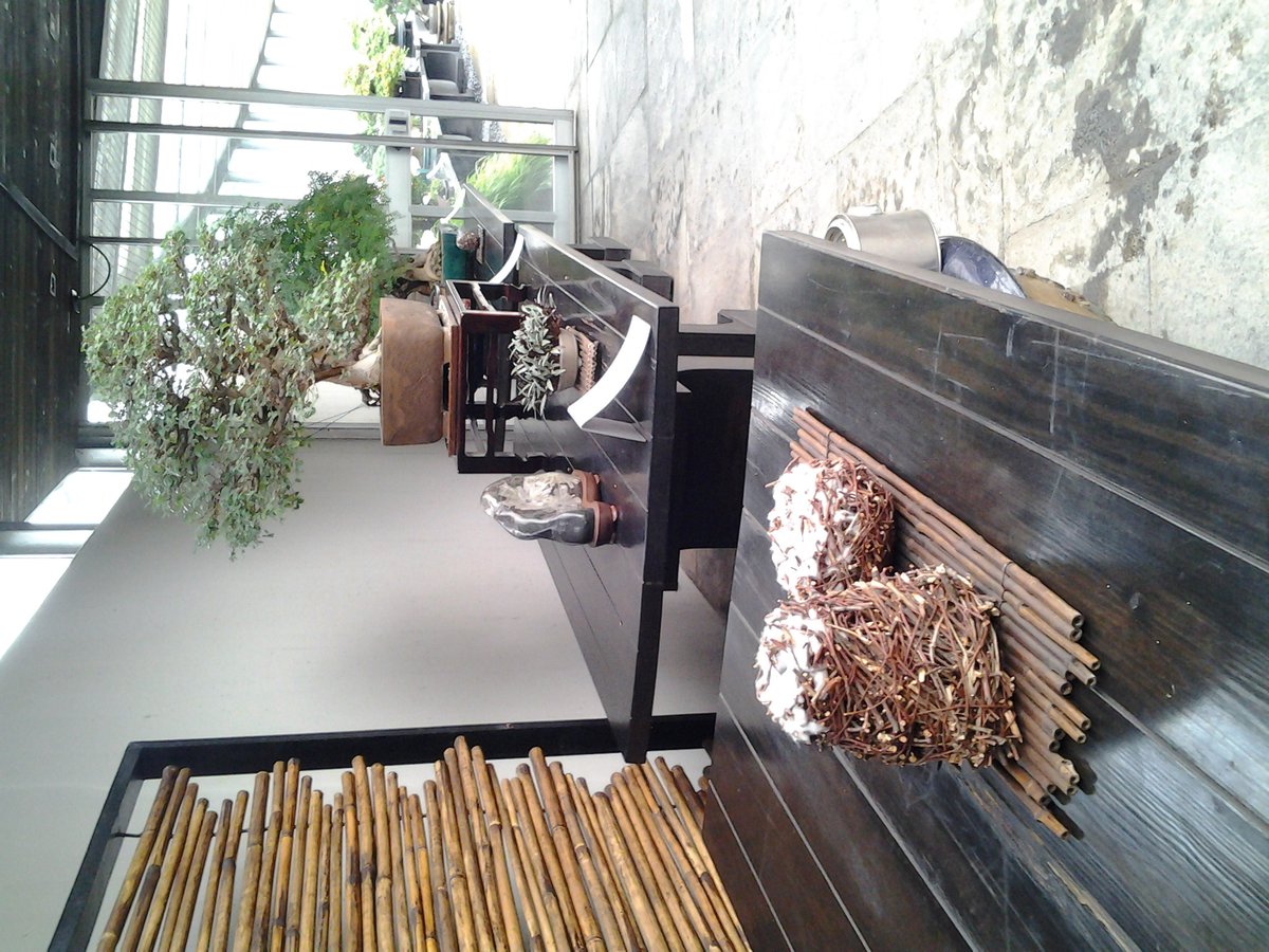 Museo del bonsai "Crespi"